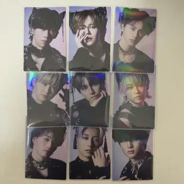초특급 NINE LIVES 트레이딩 카드 컴프