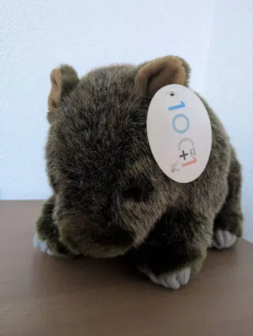 웜뱃 봉제 인형