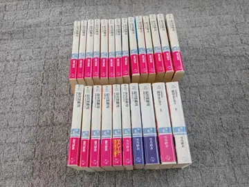 채운국 이야기 소설 전 24권 (해골을 구하다 포함)