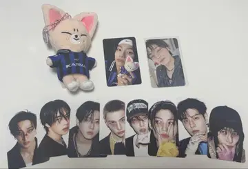 KARMA SKZOOver 폭시니 아이엔 스키즈 straykids