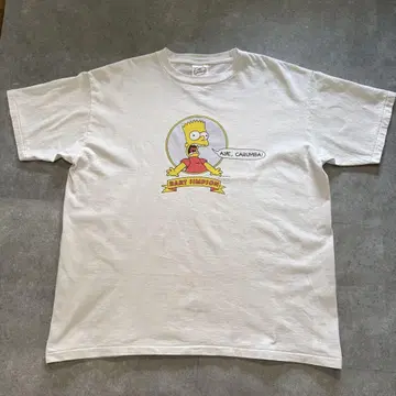 THE SIMPSONS 저널 스탠다드 프린트 T셔츠