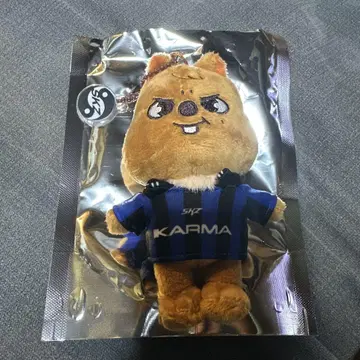skzoo karma 스키즈 스트레이 키즈 쿠오카 한 봉제 인형