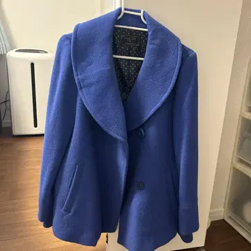 any sis 파란 피코트