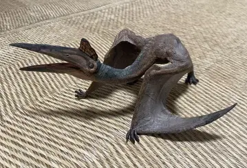 PAPO 케찰코아틀루스