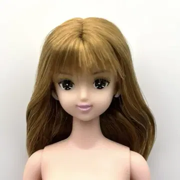 제니 프렌드 수지