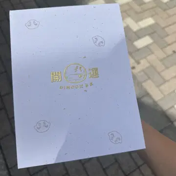 POP MART 팝마트 DIMOO 달마 피규어