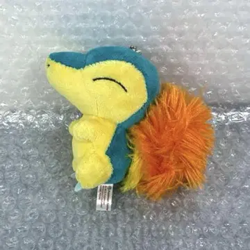 히노아라시 포켓몬 센터 봉제 인형 pokemon petit