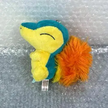 히노아라시 포켓몬 센터 봉제 인형 pokemon petit