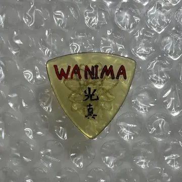 [WANIMA/코우신] 기타 피크 코우신
