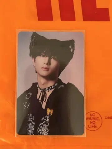 초특급 NINE LIVES 타워 레코드 트레이딩 카드 하루