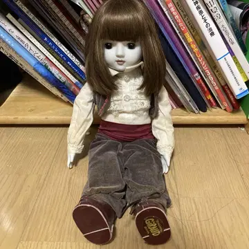 클로디 클로드 가동식 인형 브라운 헤어 30cm