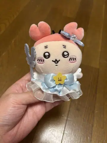 초 진심 치이카와 마법 충전 마스코트 헌책방 카니쨩