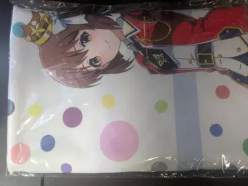 하기와라 유키호 풀그라 타월 미개봉 새상품