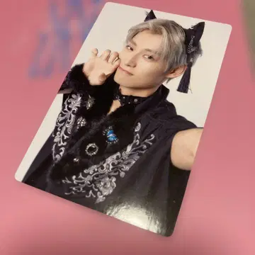 초특급 NINE LIVES 완전 생산 한정판 트레이딩 카드 알로하