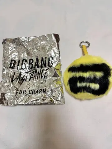 BIGBANG 공식 퍼 참 D-LITE 대성