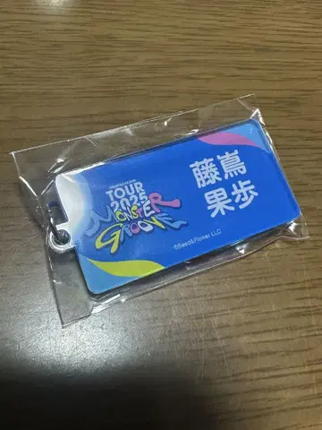 히나타자카46 후지시마 카호 아크릴 키링