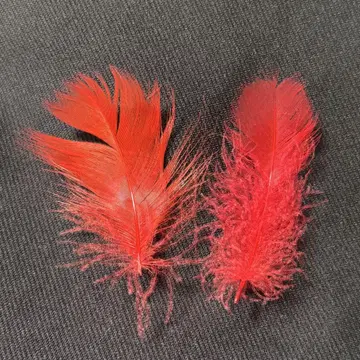 나니와단시 낙하물 빨간색 깃털 2개 세트 봉봉 보야주