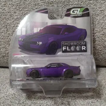 그린 라이트 2023 Dodge Challenger SRT Hellcat