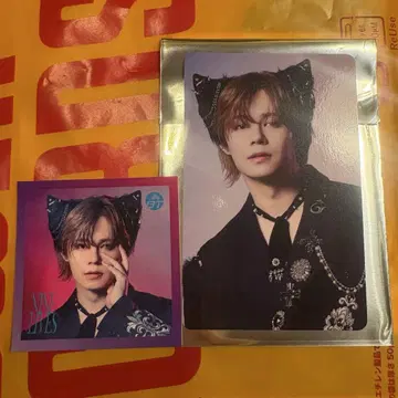 초특급 NINE LIVES 타워 레코드 특전 트레이딩 카드 스티커 카이