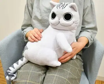 큐루가 BIG 봉제 인형 2 [밤은 고양이와 함께] 고양이 고양이