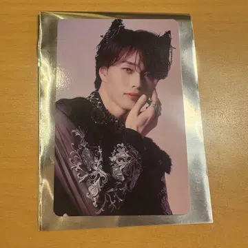 초특급 NINE LIVES 타워 레코드 트레이딩 카드 마사히로