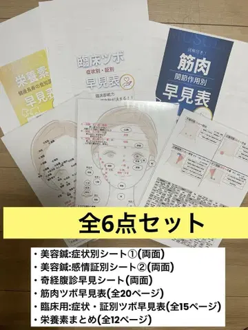 임상용 조견표(근육, 미용침, 기경팔맥, 복진, 혈, 영양소)etc