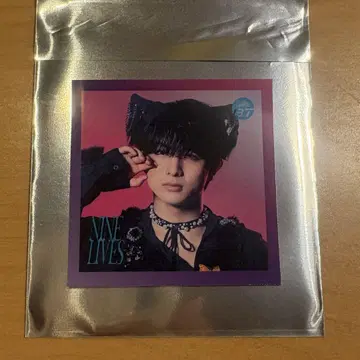 초특급 하루 타워 레코드 트레이딩 카드 스티커 NINE LIVES