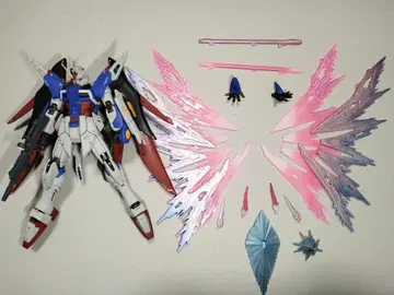 HG 1/144 데스티니 건담 Spec 2