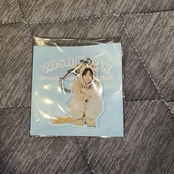 nctwish 리쿠 키링