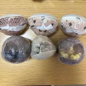 거북&게 캡슐 토이 6개 세트
