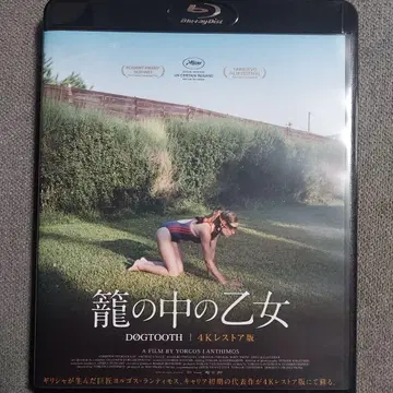 새장 속의 소녀 4K 복원판 Blu-ray