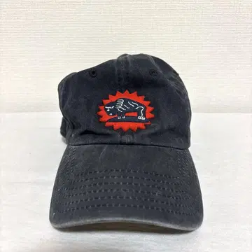 American needle 야구 모자 코튼 휴스턴