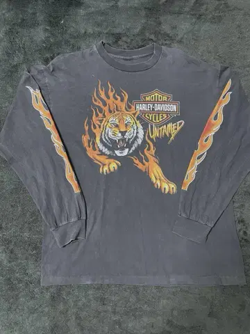 Harley-Davidson 타이거 x 프레임 X L 롱티