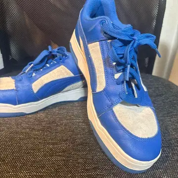 PUMA 슬립스트림