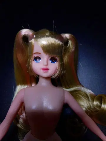 해시태그 제니 헤드 + 22cm 바디 커스텀