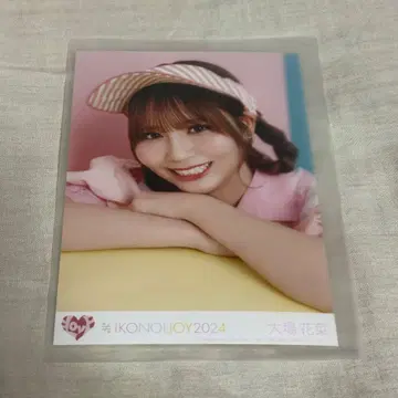 이코노이조이 2024 TYPE B 봉입 오바 하나 다이너