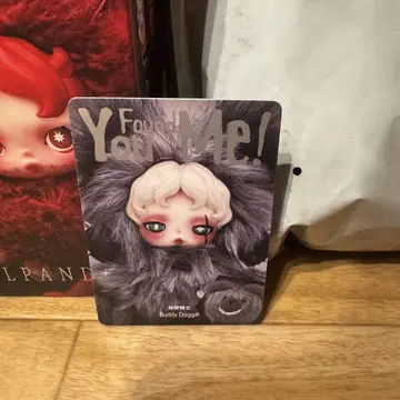 SKULLPANDA You Found Me! 스컬팬더 시크릿