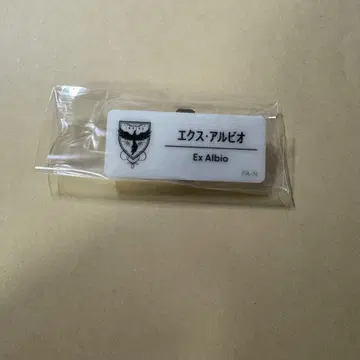 엑스 알비오 니지 페스티벌 네임 배지