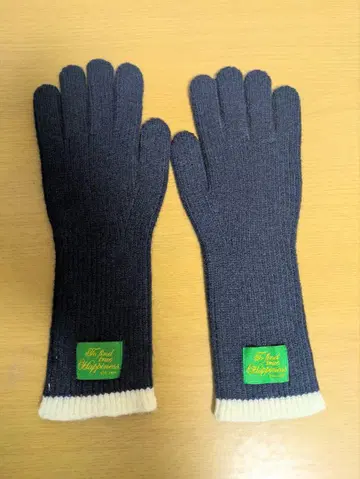 BTS JIN HAPPY gloves 장갑