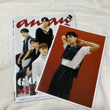anan 호시 seventeen 포토 카드