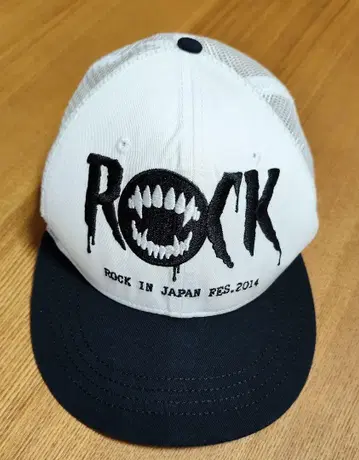 ROCK IN JAPAN FES. 2014 캡
