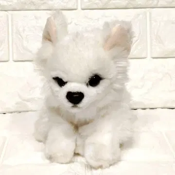 레가로 치와와 봉제 인형