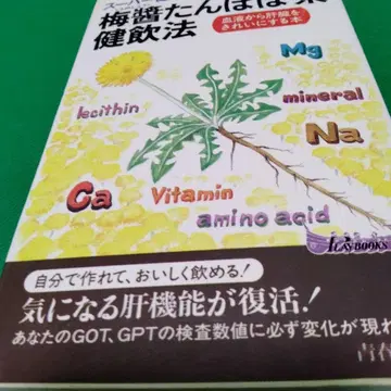 매실장차 건강음법 : 슈퍼 건강법 혈액부터 간을 깨끗하게 하는 도서