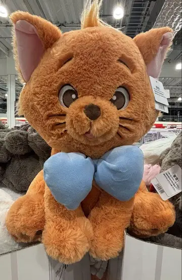 코스트코 오샤레 캣 봉제 인형 투르누아 약 50cm 마리