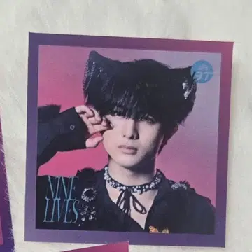 초특급 하루 NINE LIVES 타워 레코드 점포 혜택 스티커
