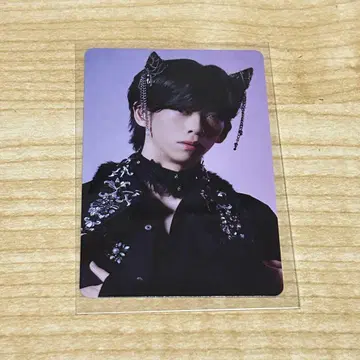 초특급 NINE LIVES 트레이딩 카드 료가 타워 레코드