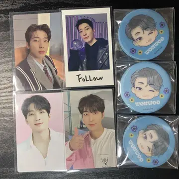seventeen 원우 트레이딩 카드 3장 (씰 1장 덤) 캔뱃지 세트