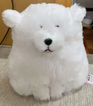 포동포동 그레이트 피레니즈 봉제 인형