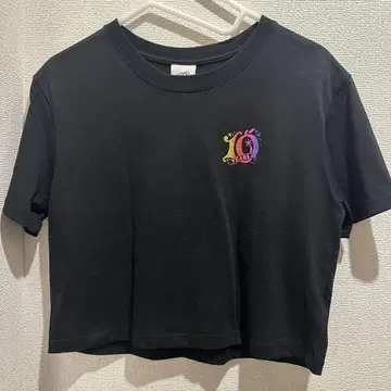 Mrs. GREEN APPLE 피요르드 셔츠 크롭 기장