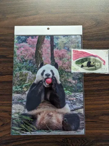 샹샹 리리 신신 클리어 파일 책갈피 야안 팬더